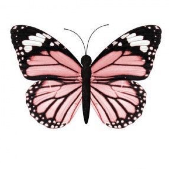 Meet your Posher, Shelby - Picture 6 of 8